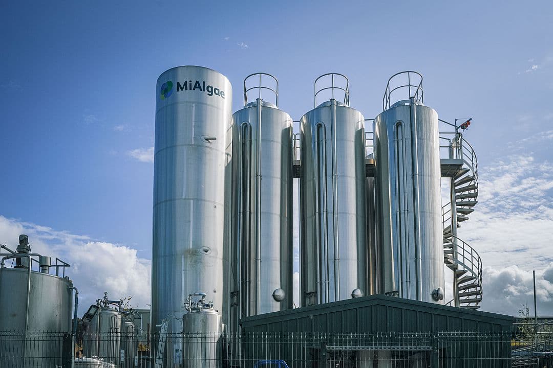 MiAlgae